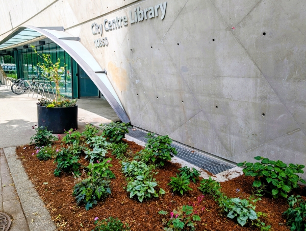 Flowerbed outside of City Centre branch